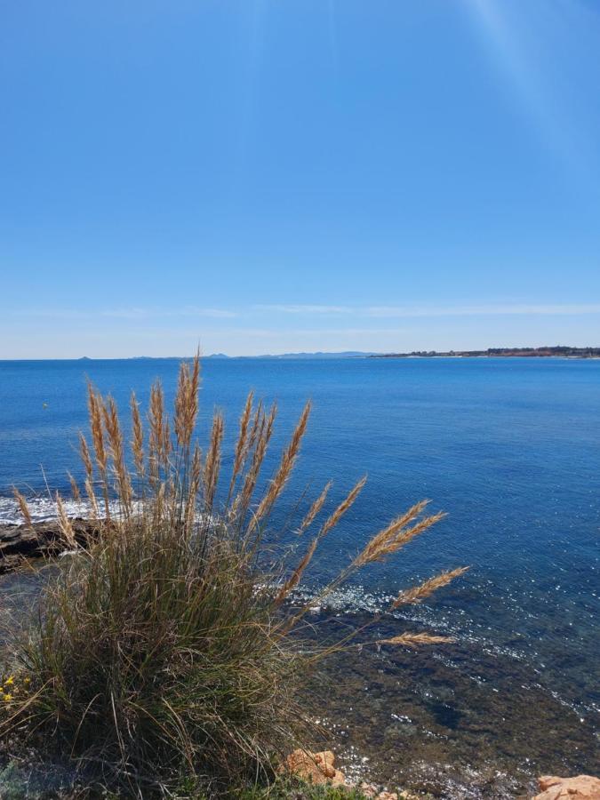Zafiro Cabo Roig * Orihuela